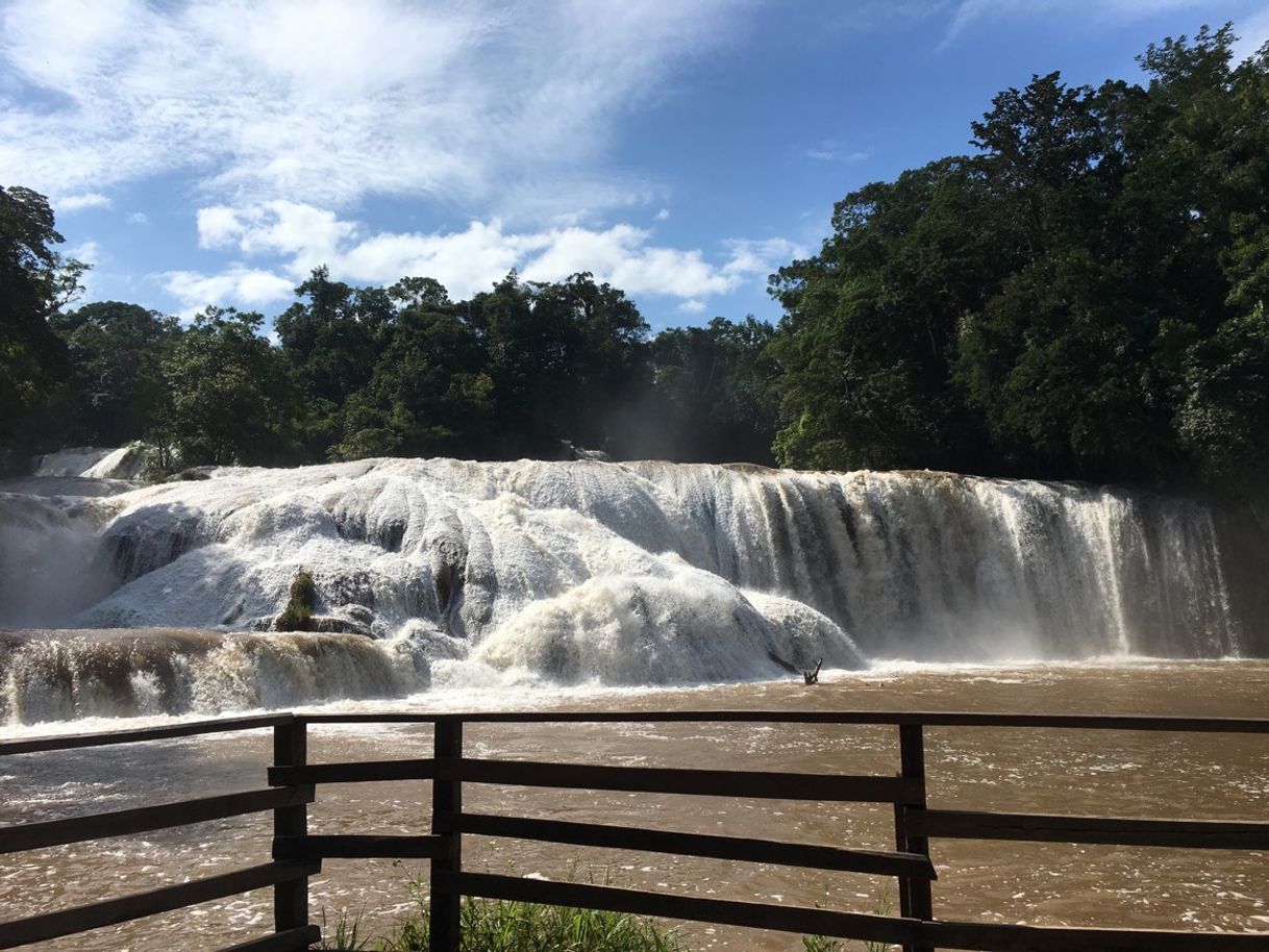 Place Cascadas de Agua Azul