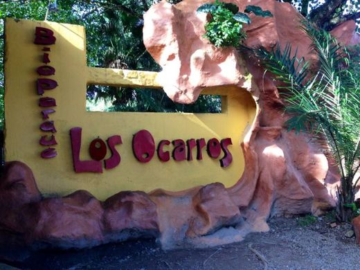 Bioparque Los Ocarros