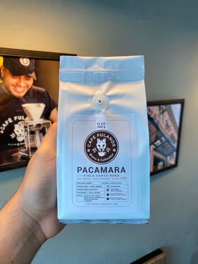 Cafe Pacamara