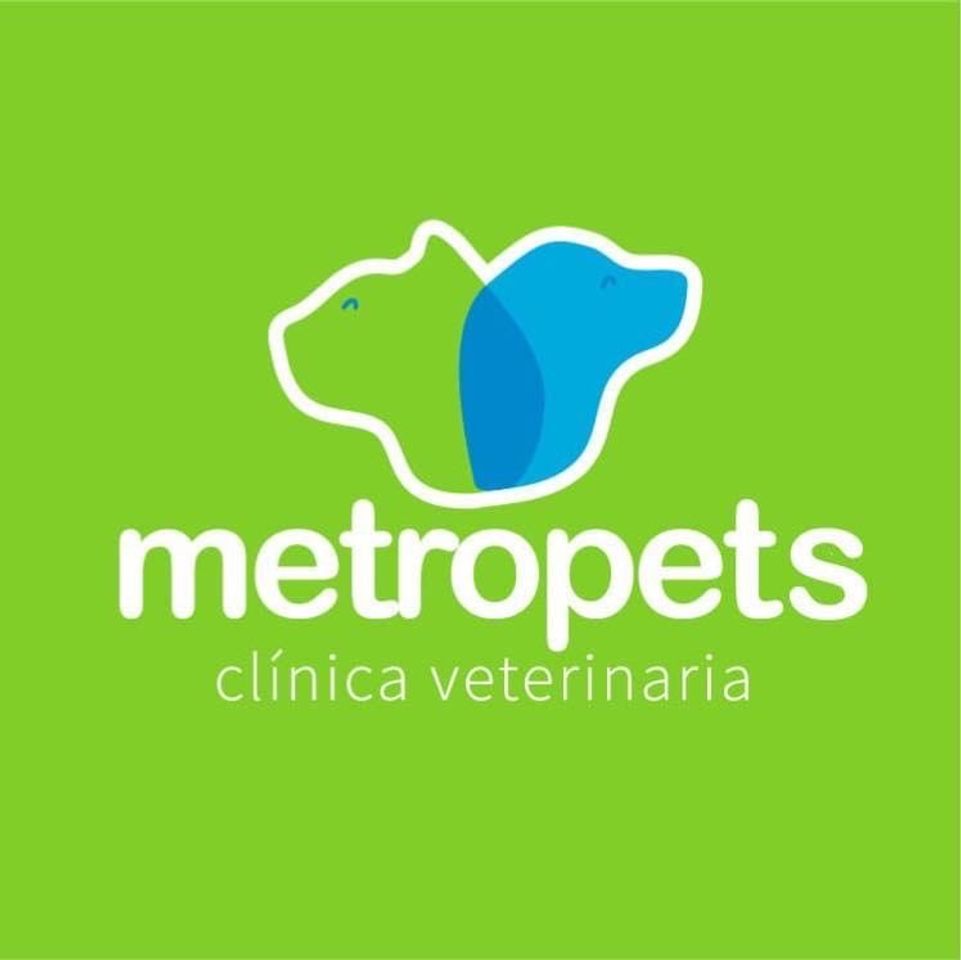 Moda Veterinaria 