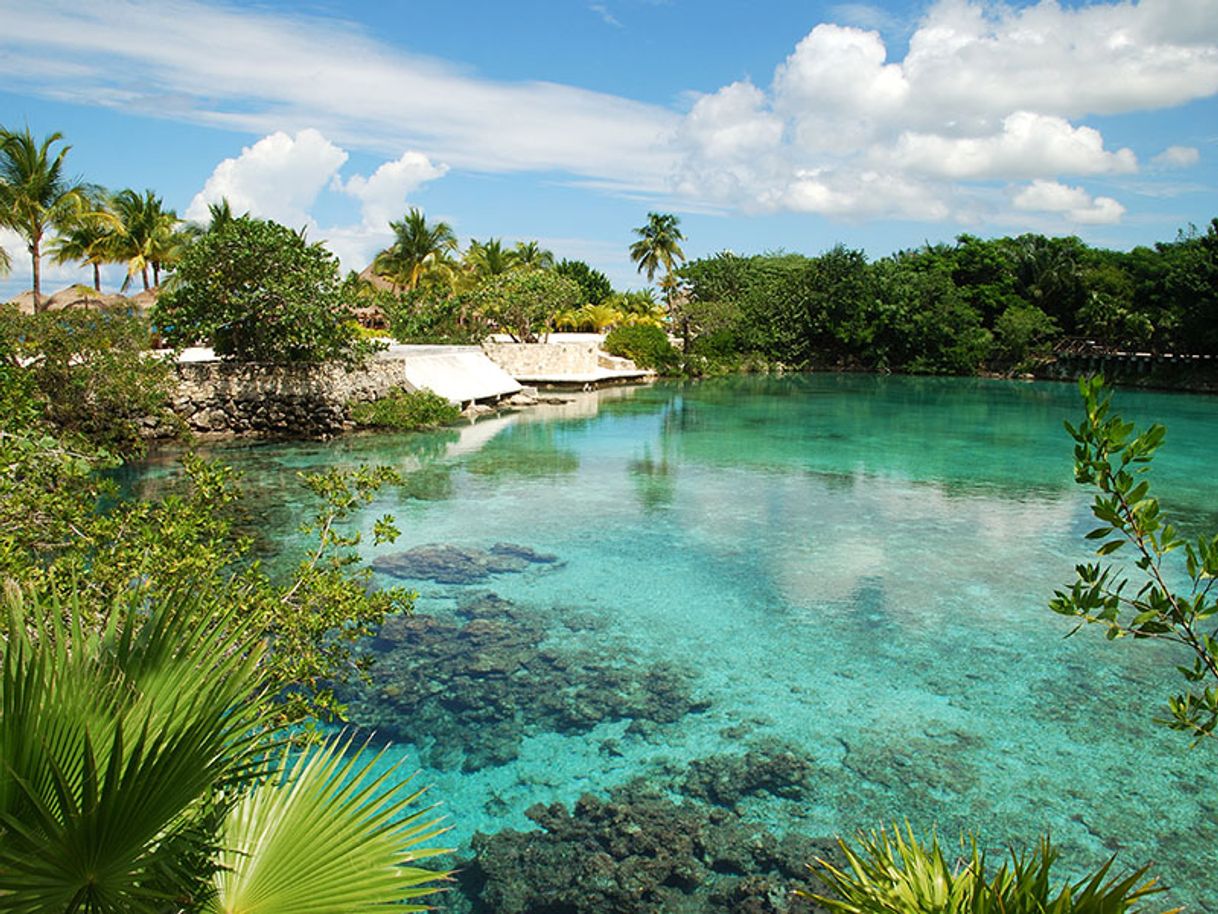 Place Cozumel