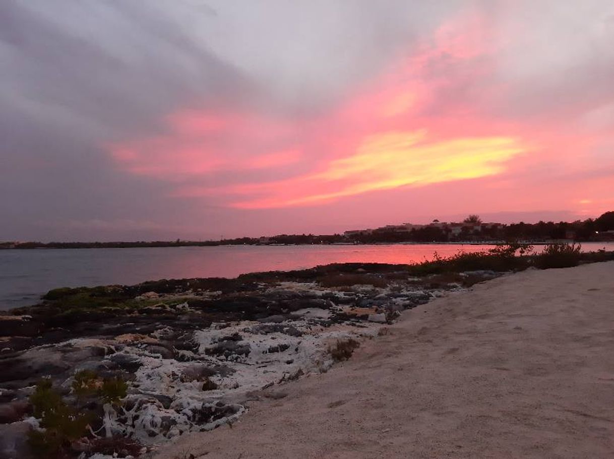 Place Puerto Aventuras