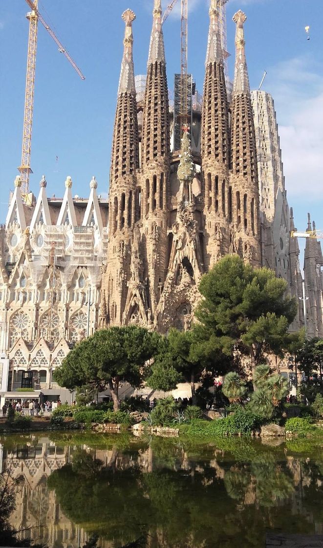 Lugar Basílica Sagrada Familia