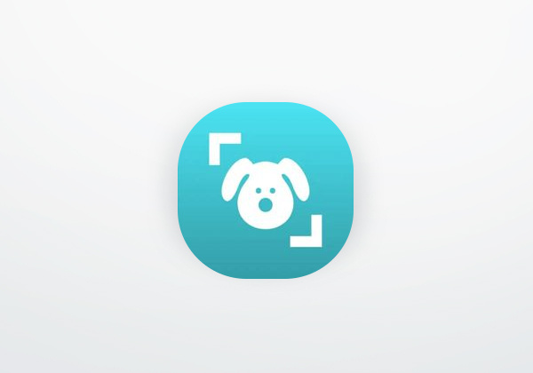 Dog Scanner – Dog Breed Identification
