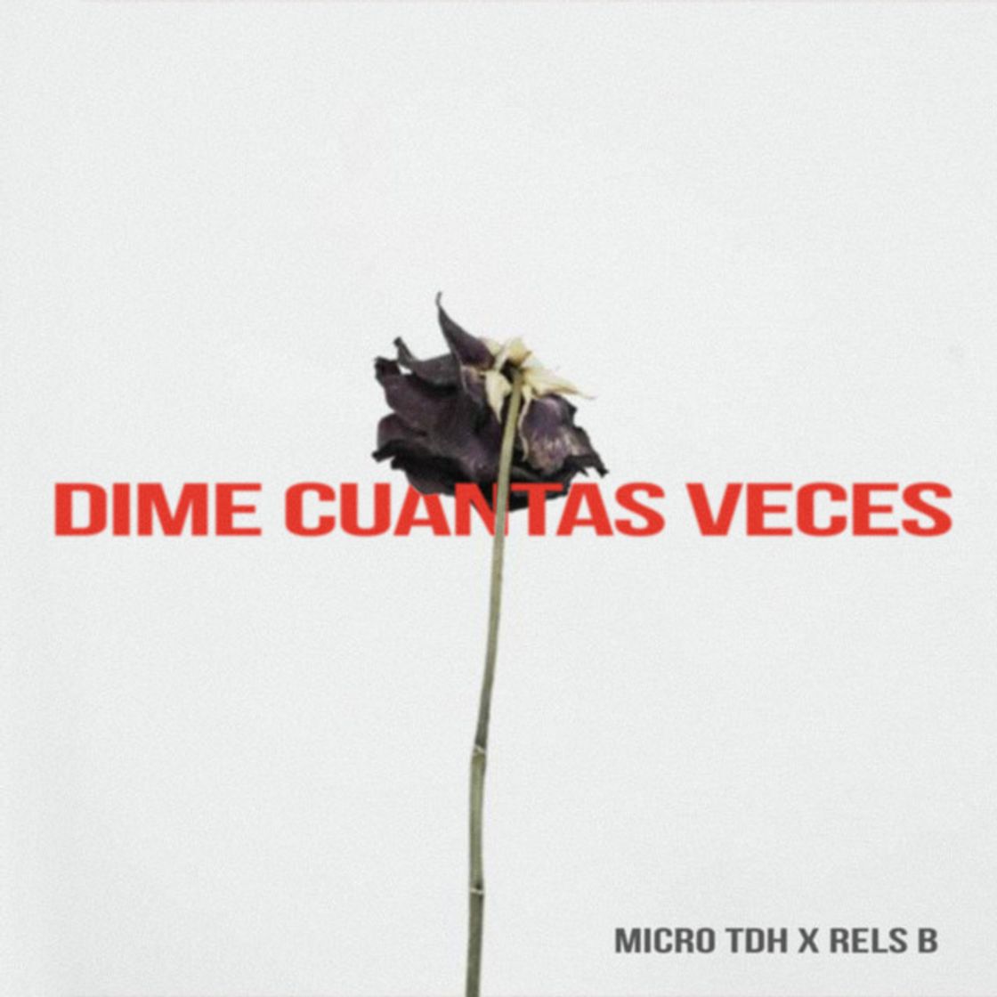 Canción Dime Cuantas Veces