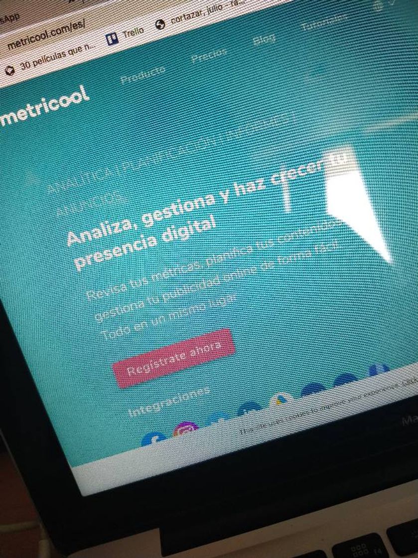 Metricool | Estadísticas de contenido