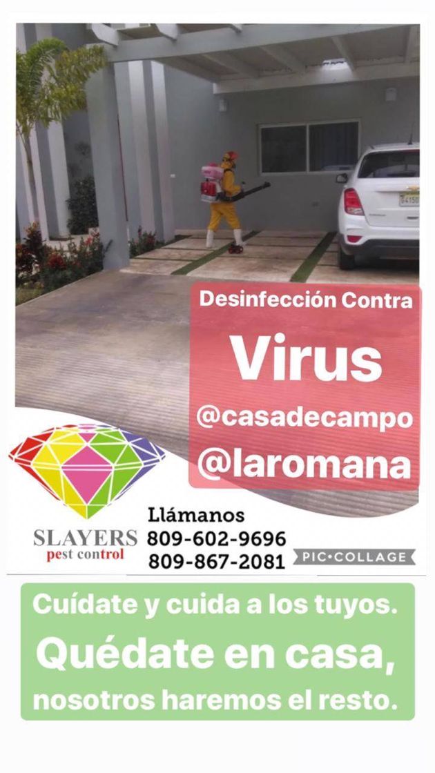 Fashion Slayer pest Control  la mejor de República Dominicana 