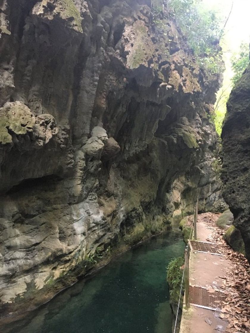 Places Puente de Dios (Jalpan de Serra)