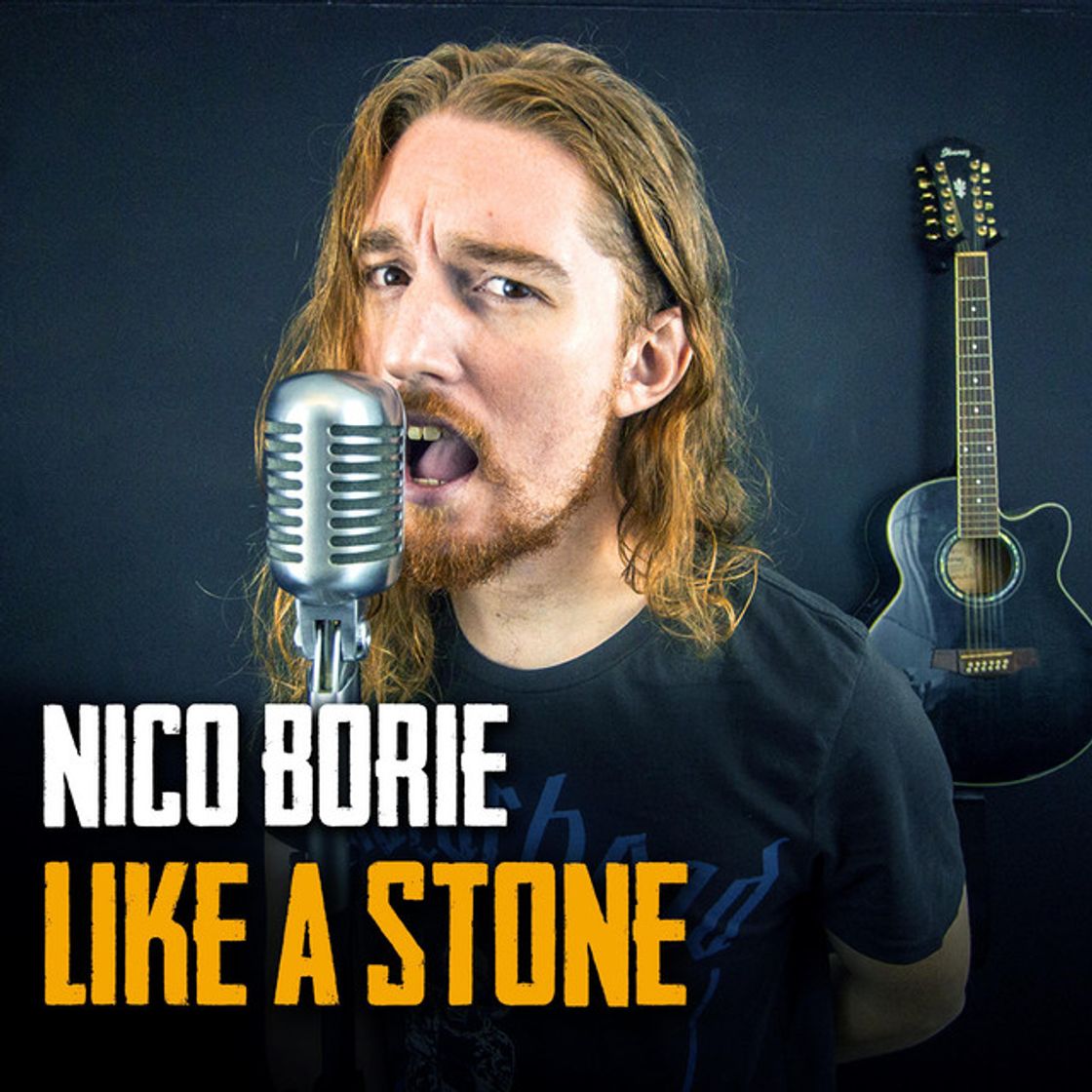 Canción Like a Stone