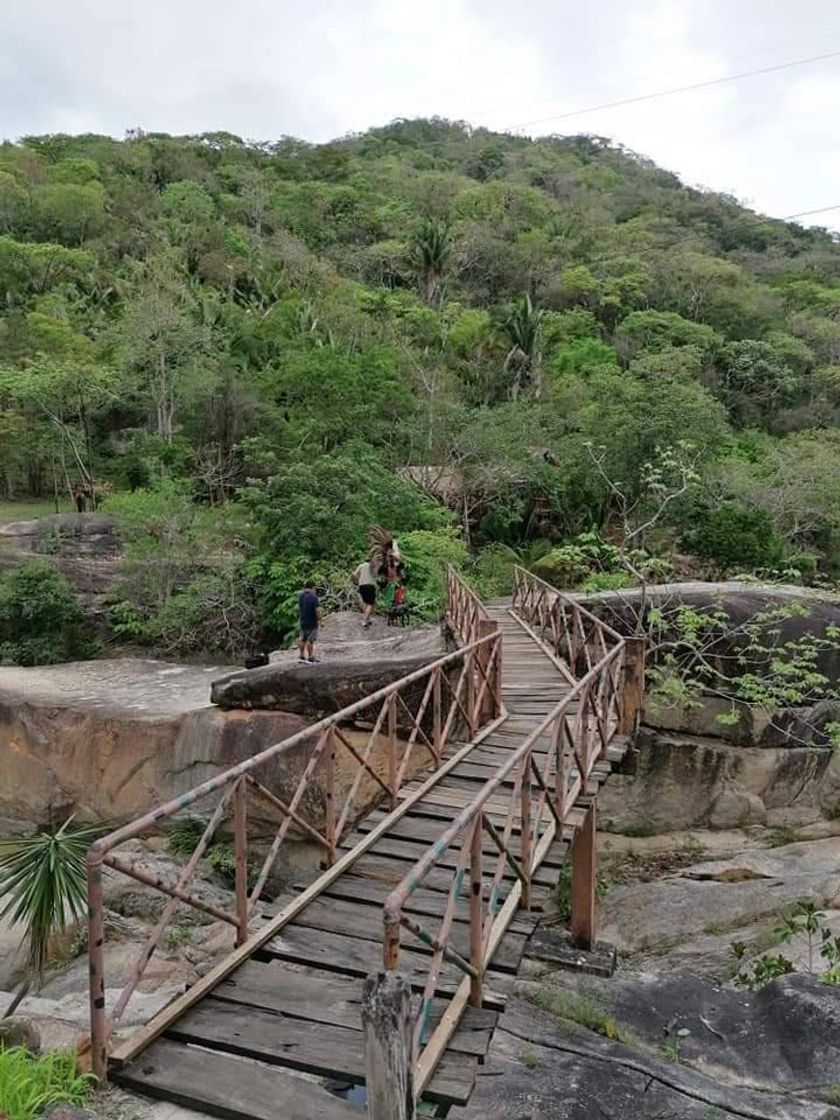 Lugar Los Veranos Canopy Tour