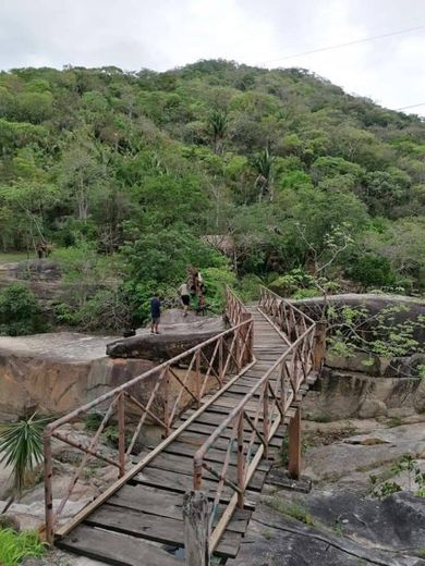 Los Veranos Canopy Tour