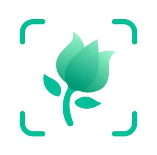 PictureThis: Identify Plant, Flower, Weed and More - Apps on Google ...