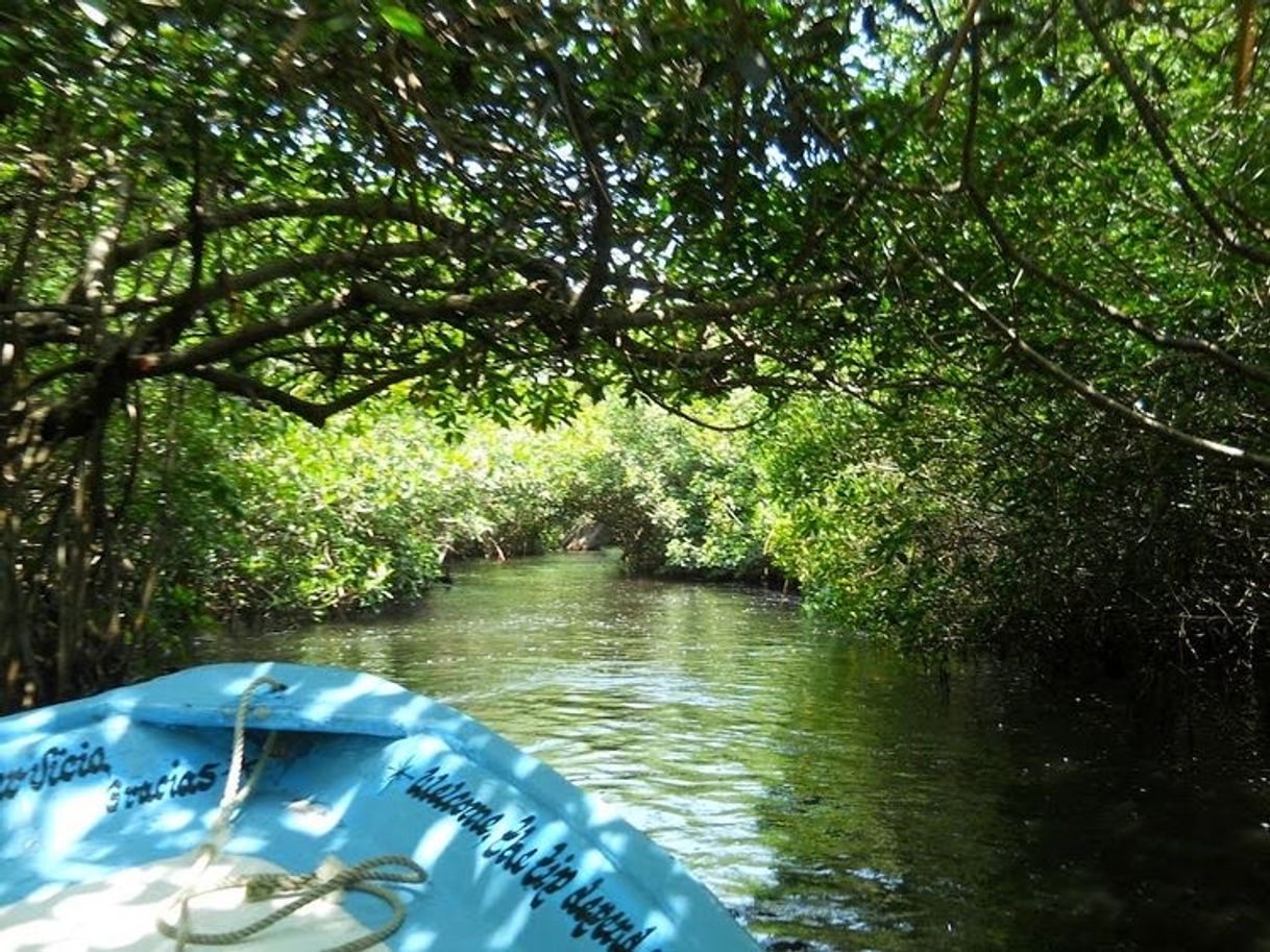 Lugar La Tovara Nayarit