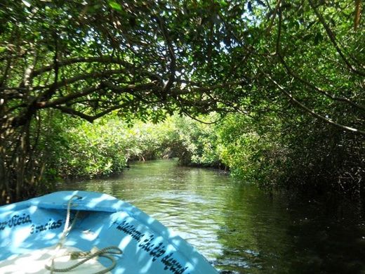 La Tovara Nayarit