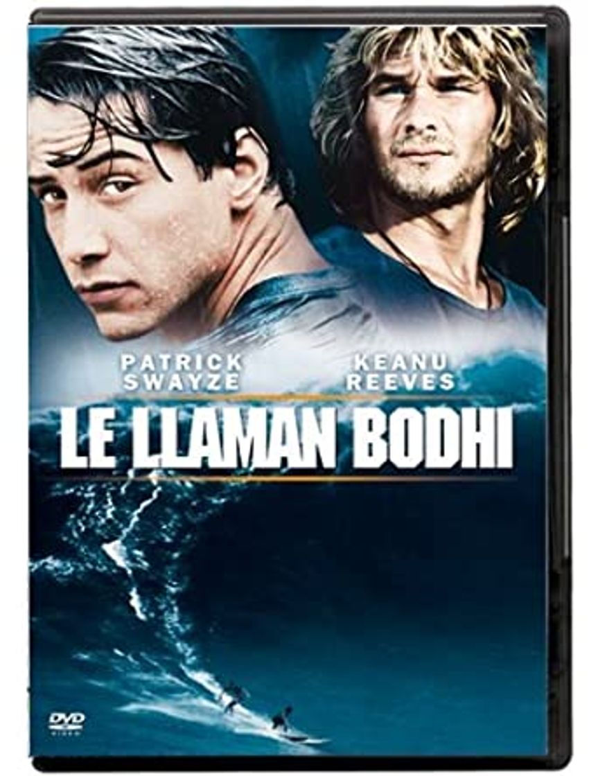 Movie Le llaman Bodhi