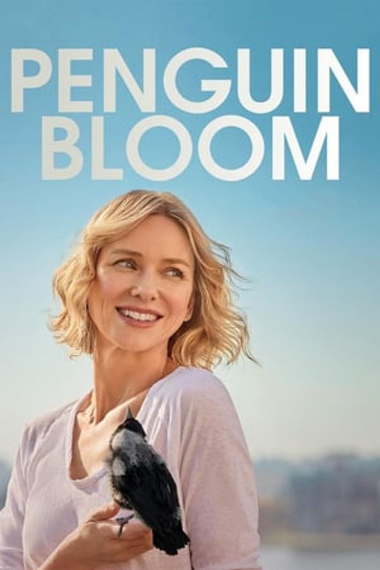 Movie La familia Bloom