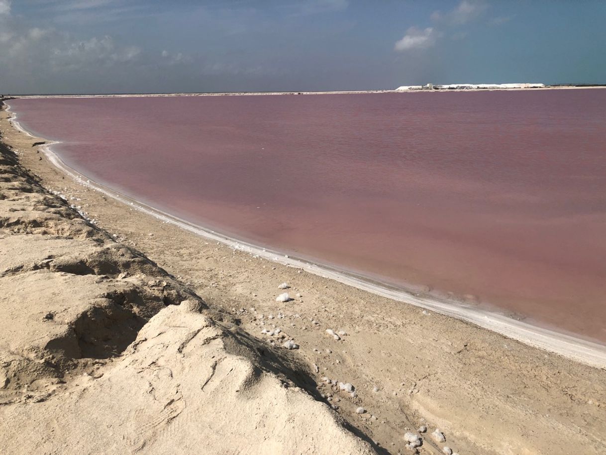 Lugares Laguna Colorada