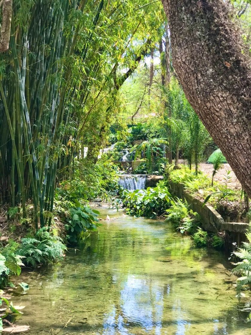 Lugar Las Cascaditas de Nogalera