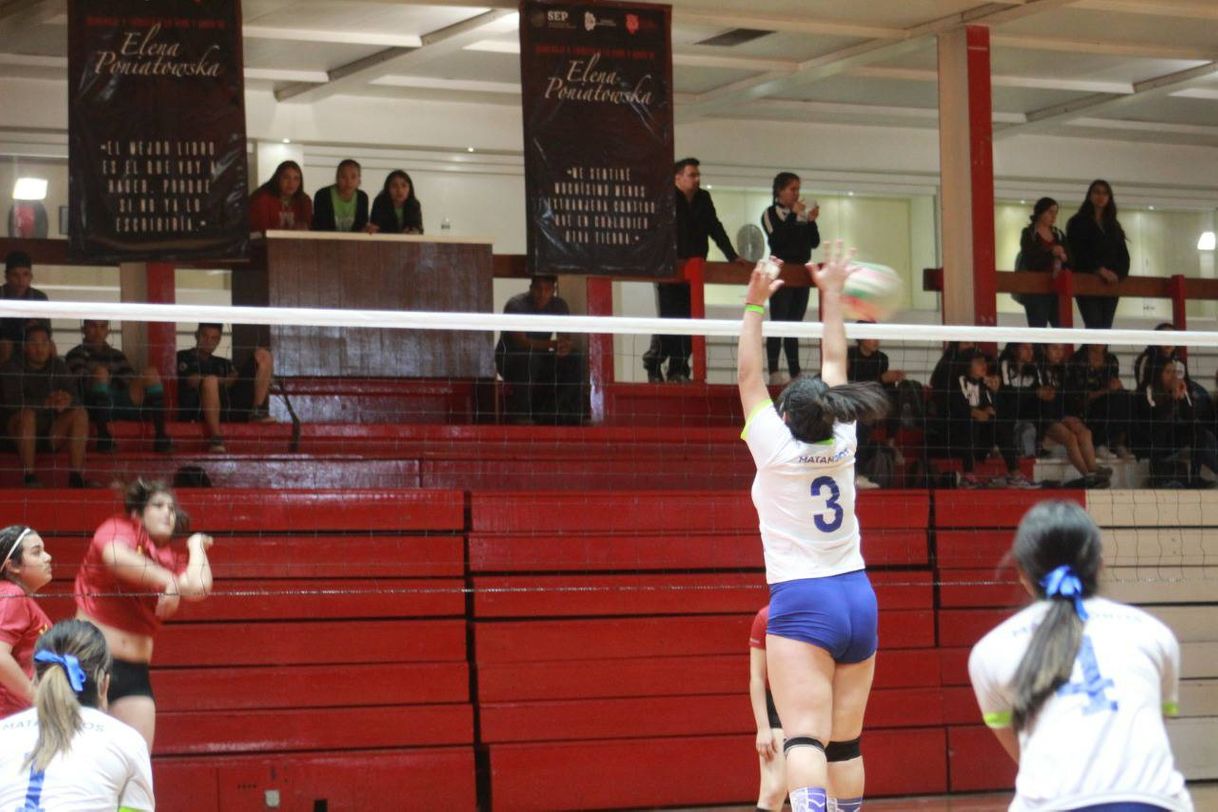 Voleibol: reglas fundamentales. | Deporte y Educacion.