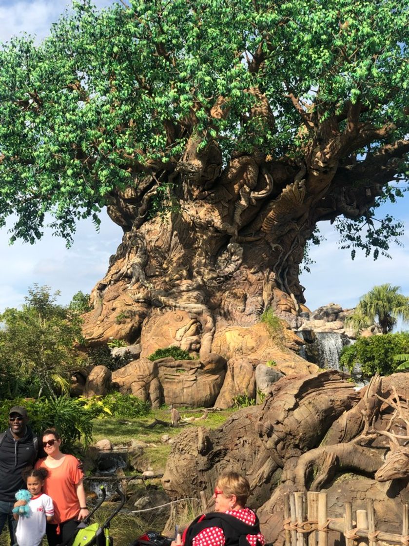 Place Animal Kingdom