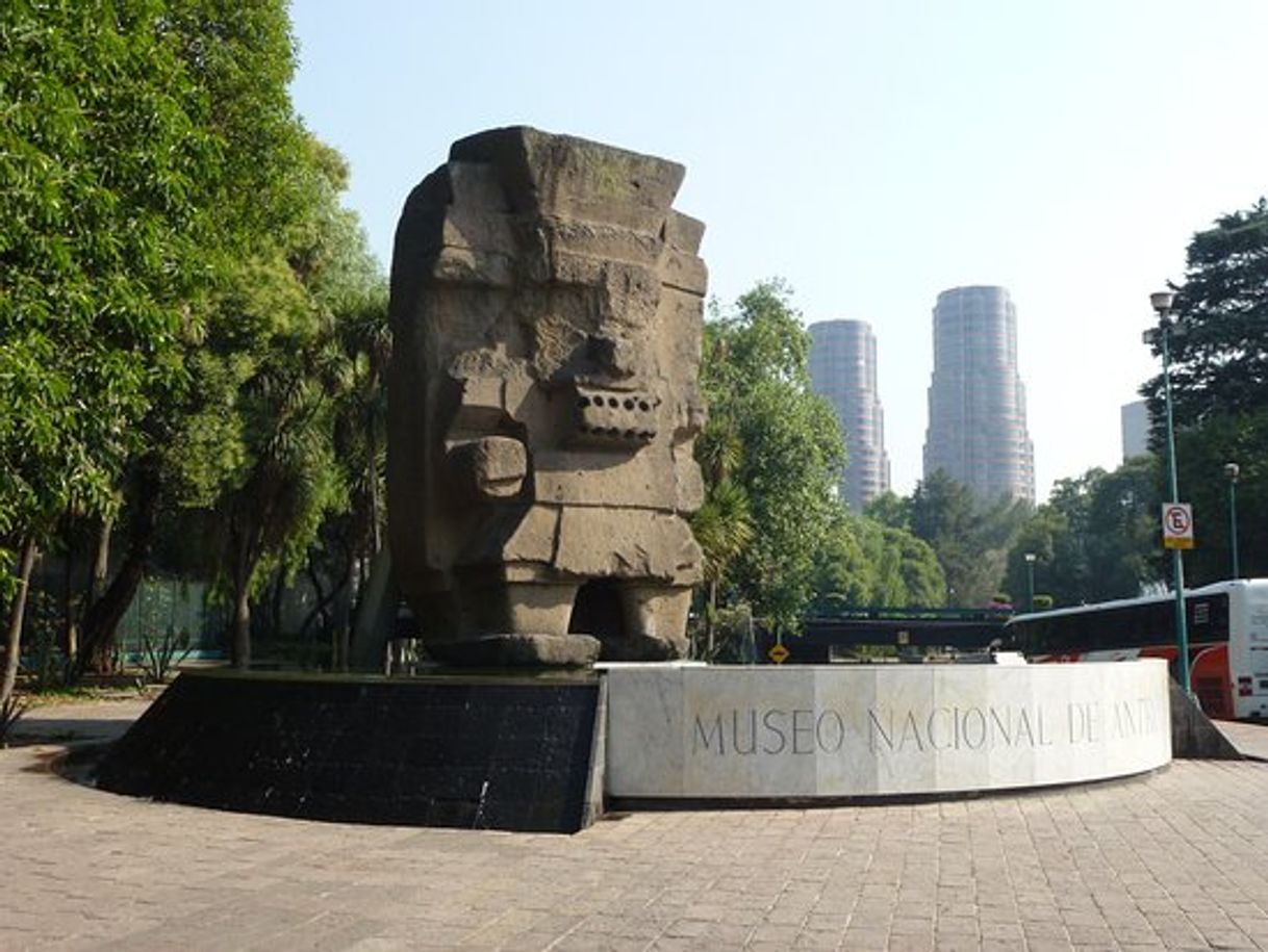 Lugar Museo de Antropologia