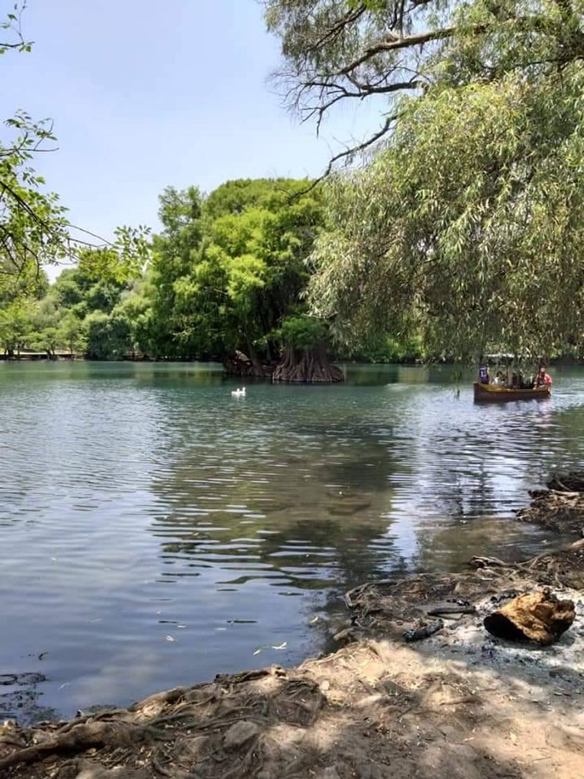 Lugar Parque Nacional Lago de Camécuaro