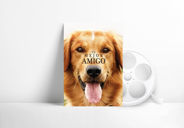 Movie Tu mejor amigo