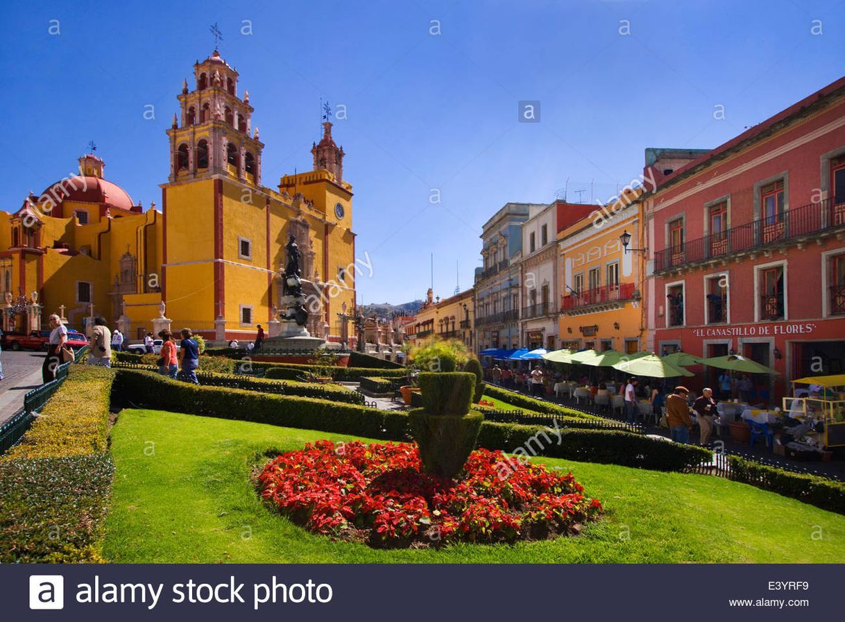 Place Plaza De La Paz