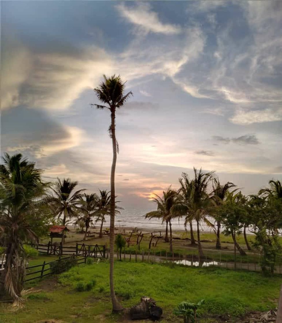Place Punta Piedras