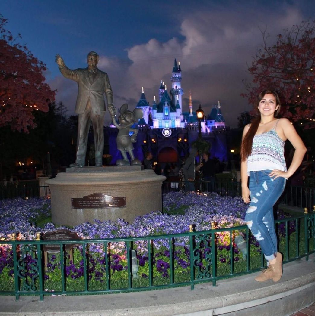 Place Disneyland