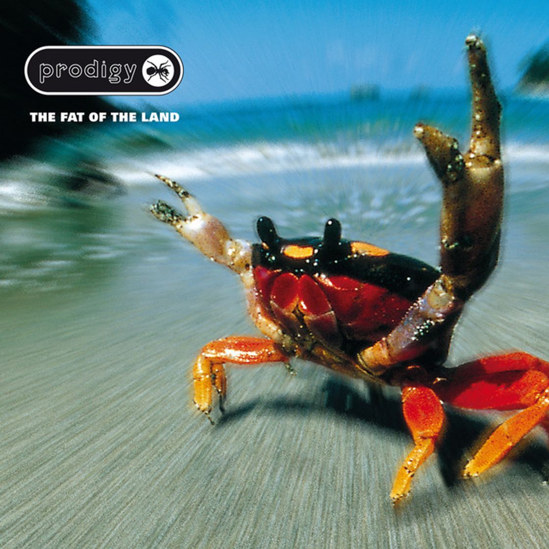Canción Mindfields
