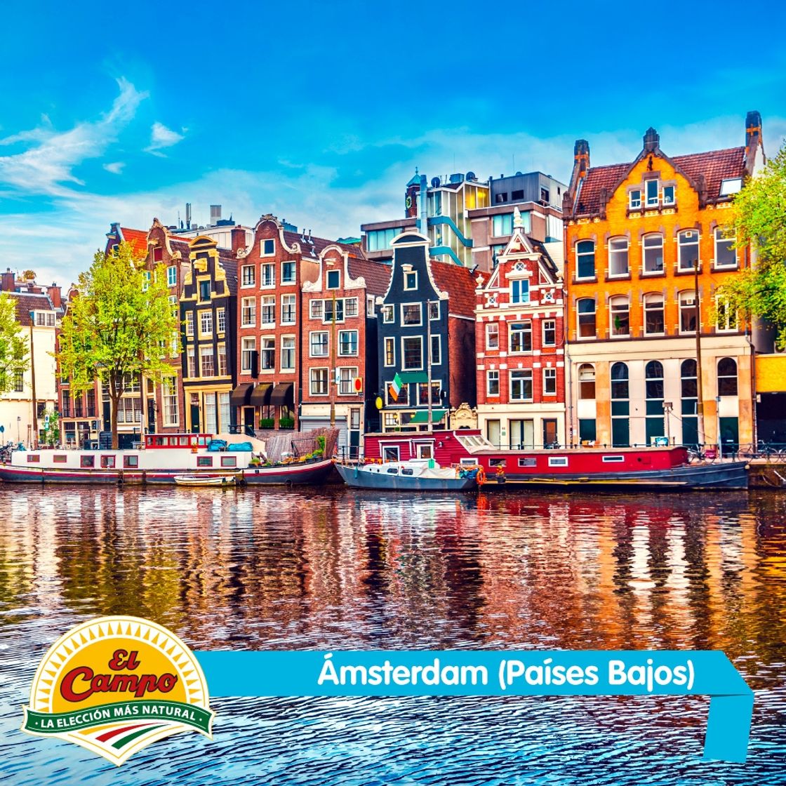 Lugar Ámsterdam