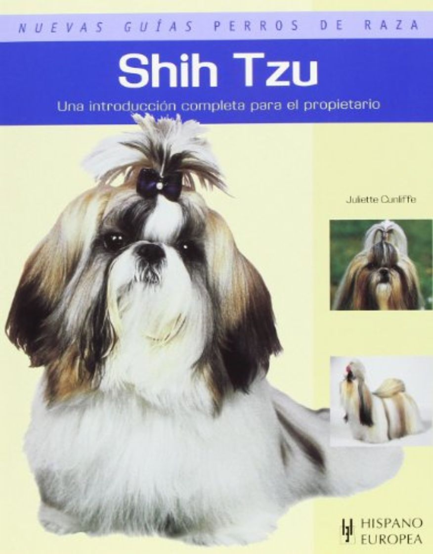 Shih Tzu