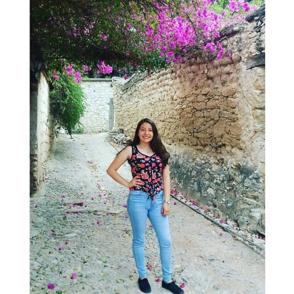 Place Armadillo de los Infante