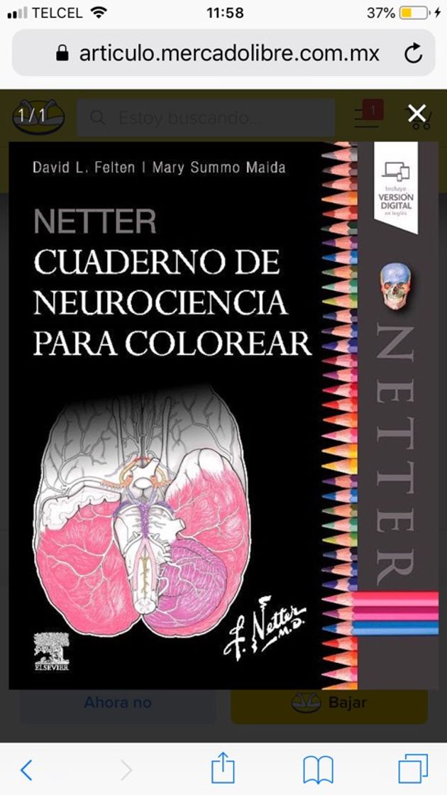 Fashion Cuaderno para colorear Netter 