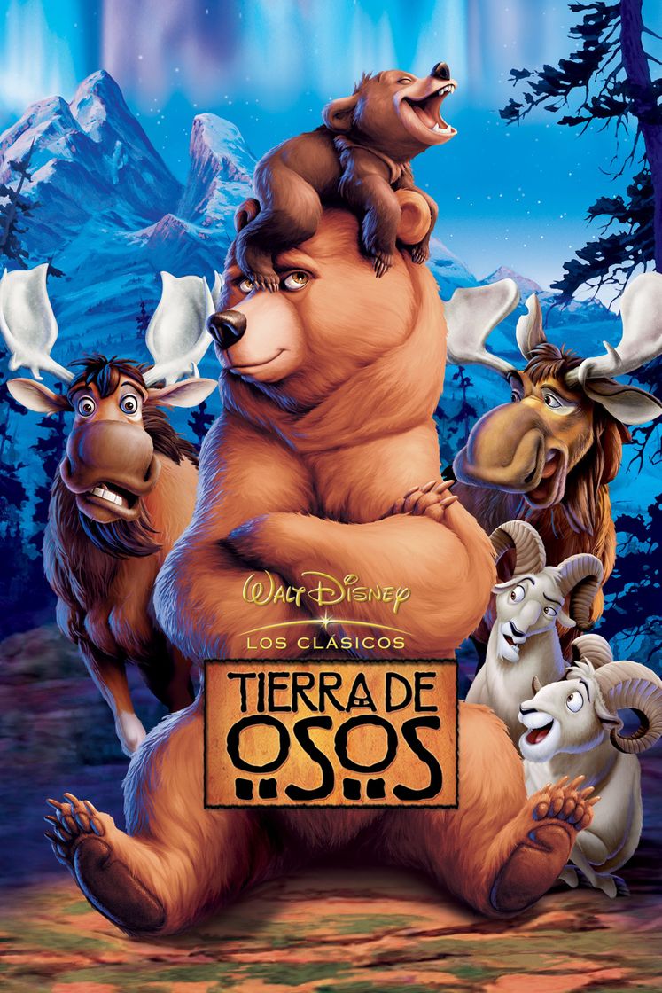 Moda Tierra de osos