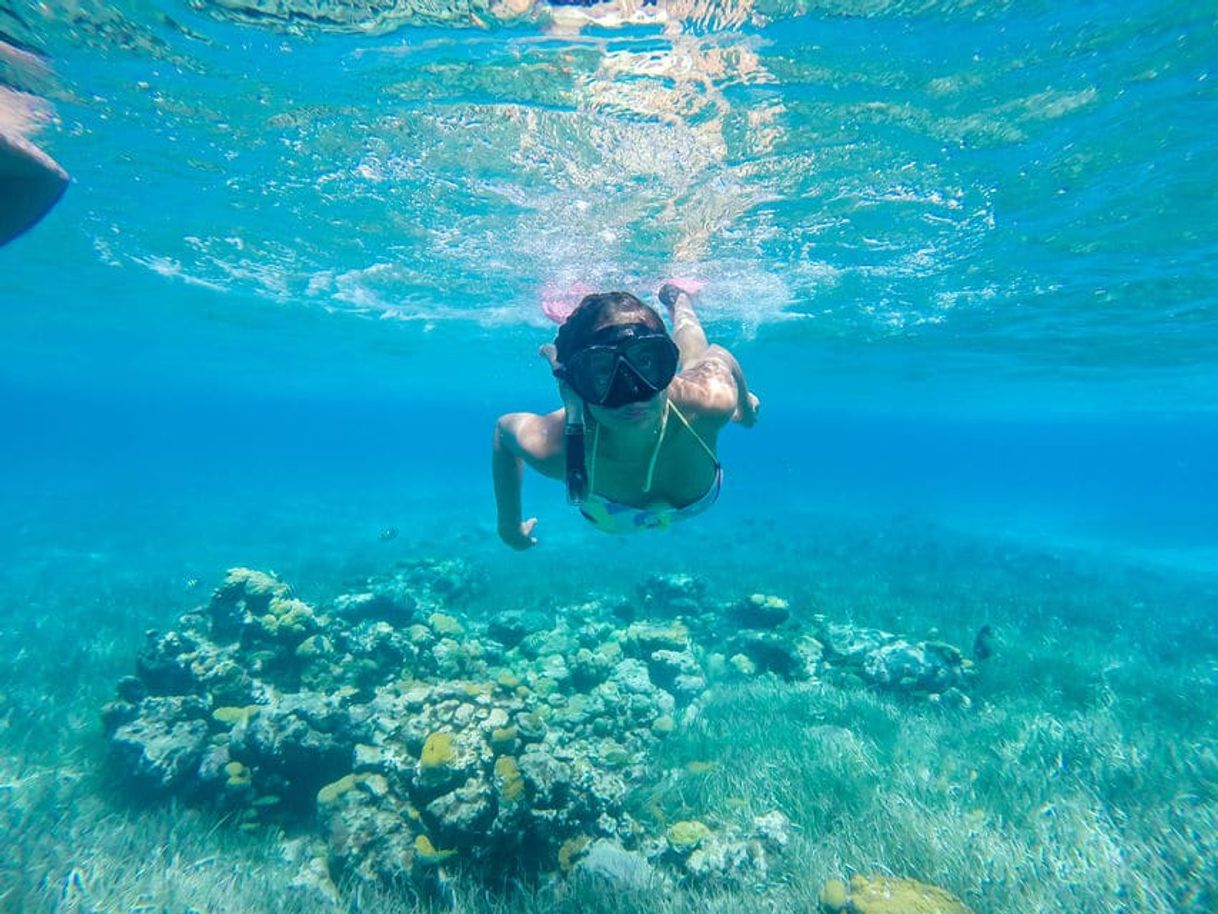 Place Cozumel Snorkeling Tour BEST PRICE