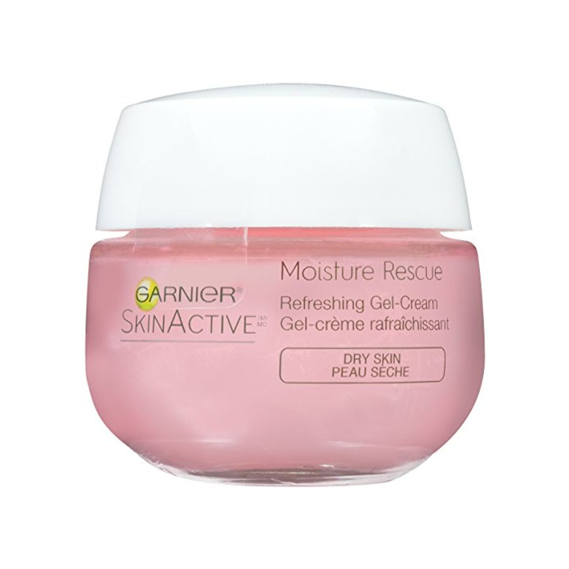 Social Garnier Skincare Moisture Rescue Refreshing Gel-Cream for Dry Skin for Dry Skin,