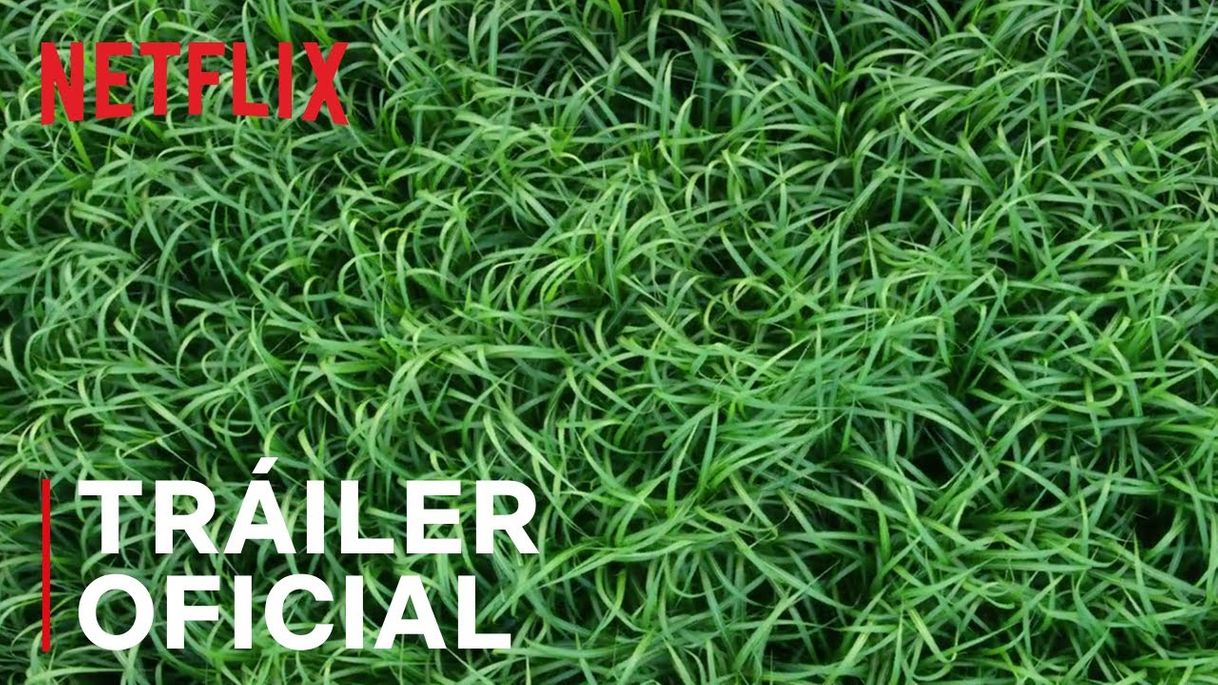 Fashion En la hierba alta | Tráiler oficial | Netflix - YouTube