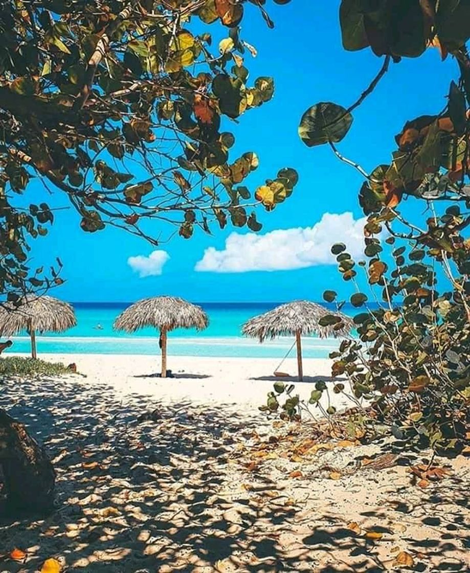 Lugar Varadero