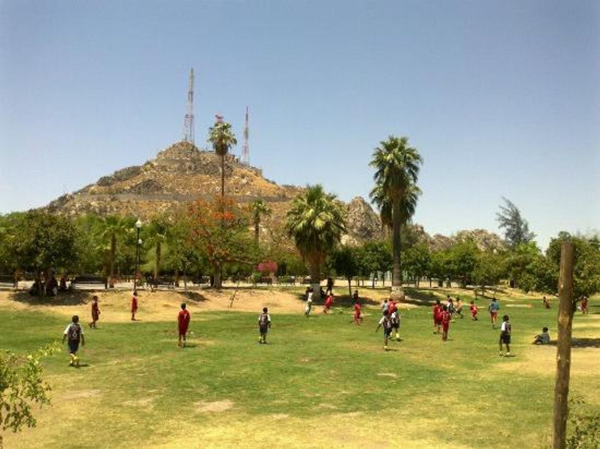 Place Parque Madero