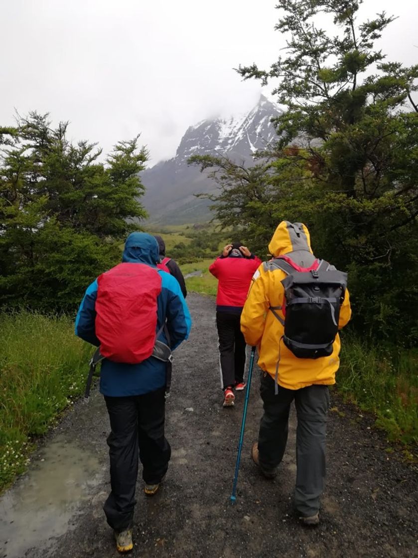 Lugar Torres del Paine