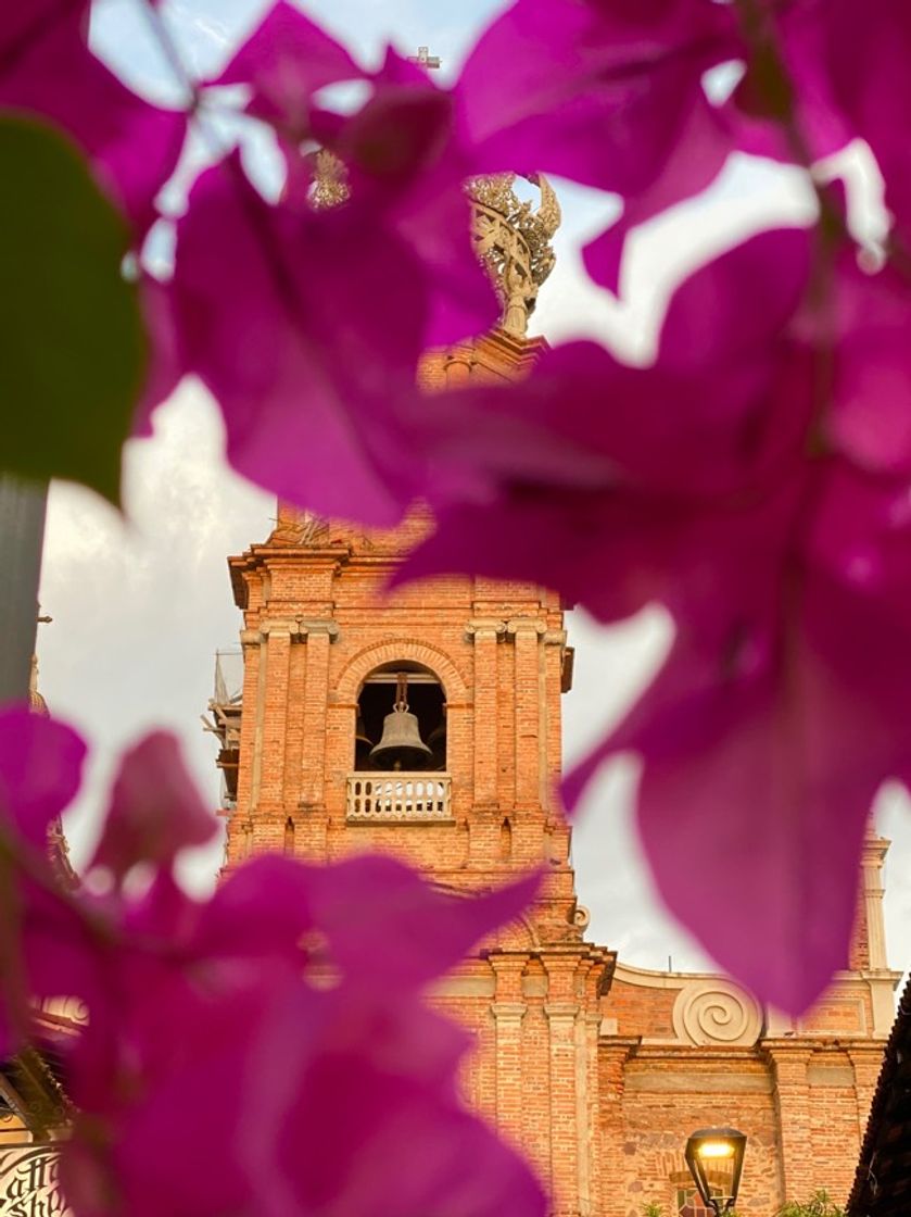 Places Puerto Vallarta, México