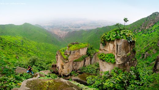 Lomas de Lúcumo