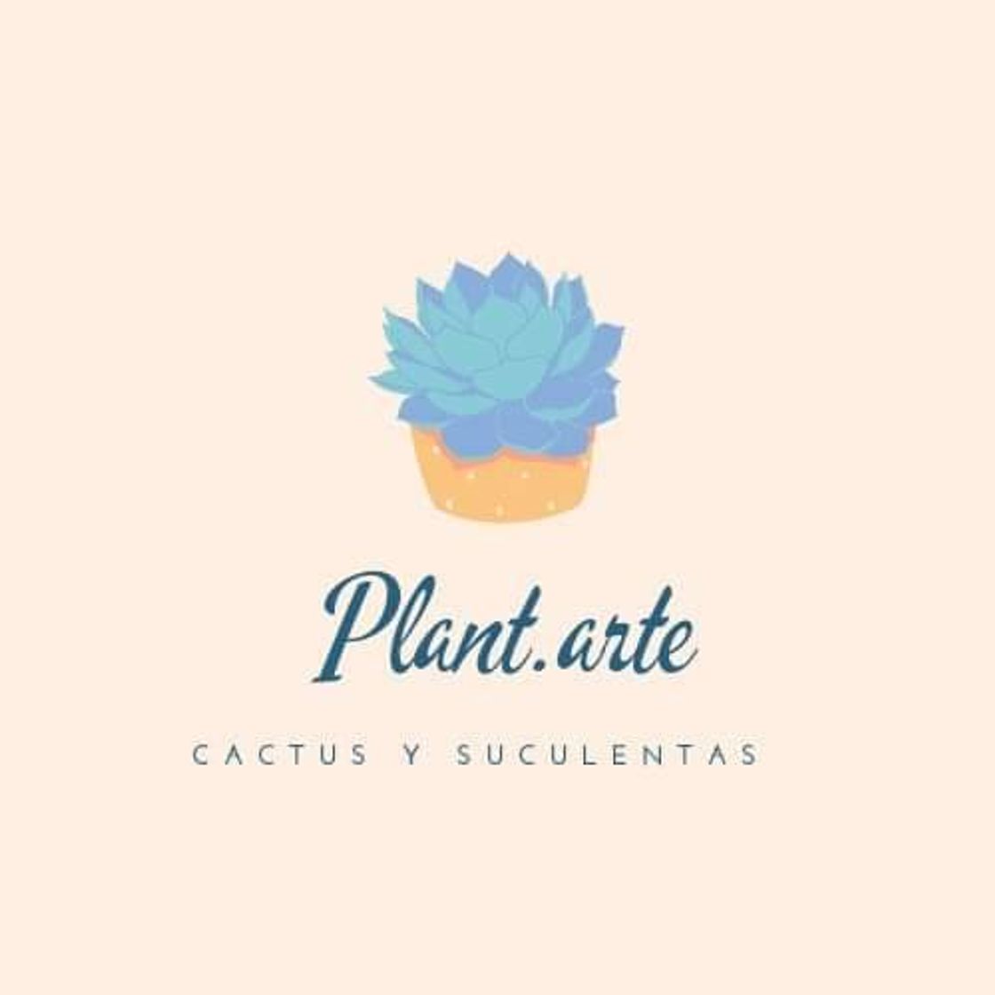 Fashion Plant.arte.it  Cactus y Suculentas 