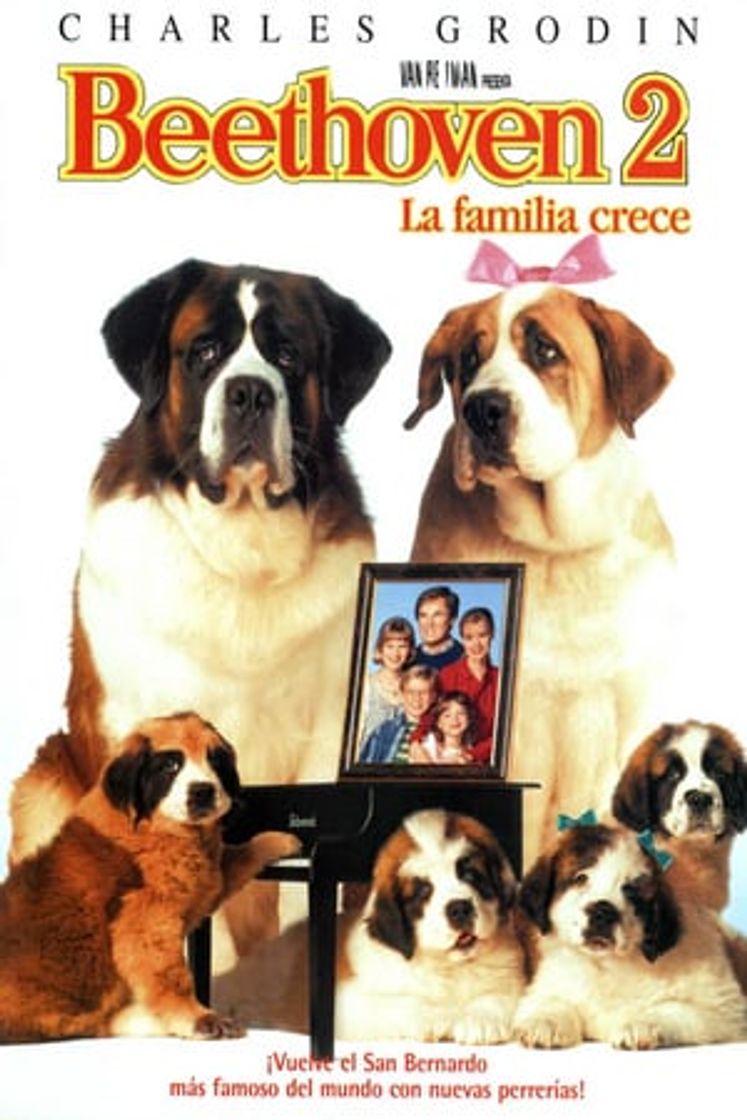 Película Beethoven 2: La familia crece