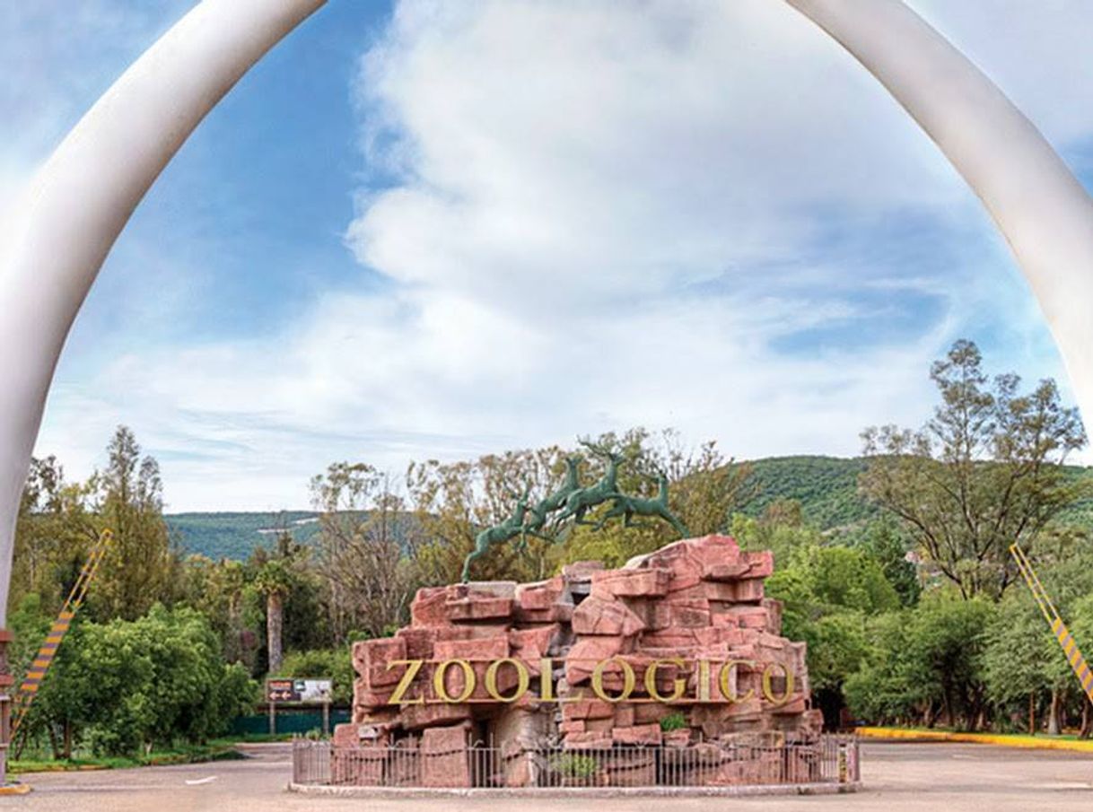 Place Zoológico de León