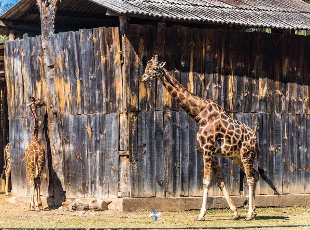 Lugares Parque Zoológico Benito Juárez