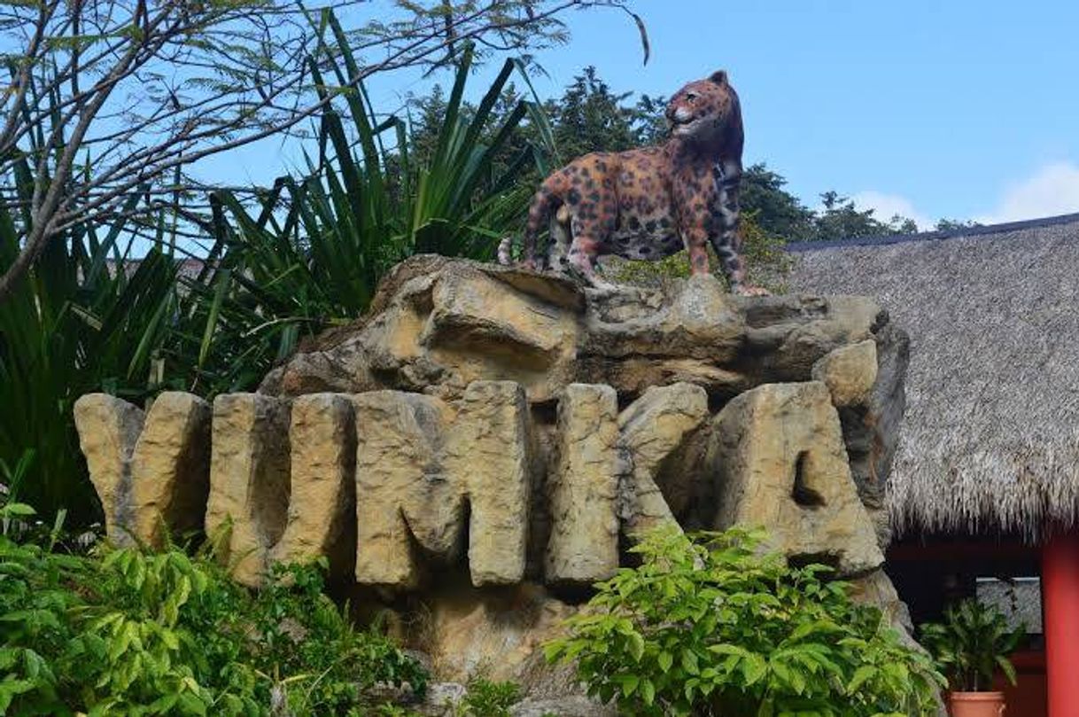 Place Yumka´