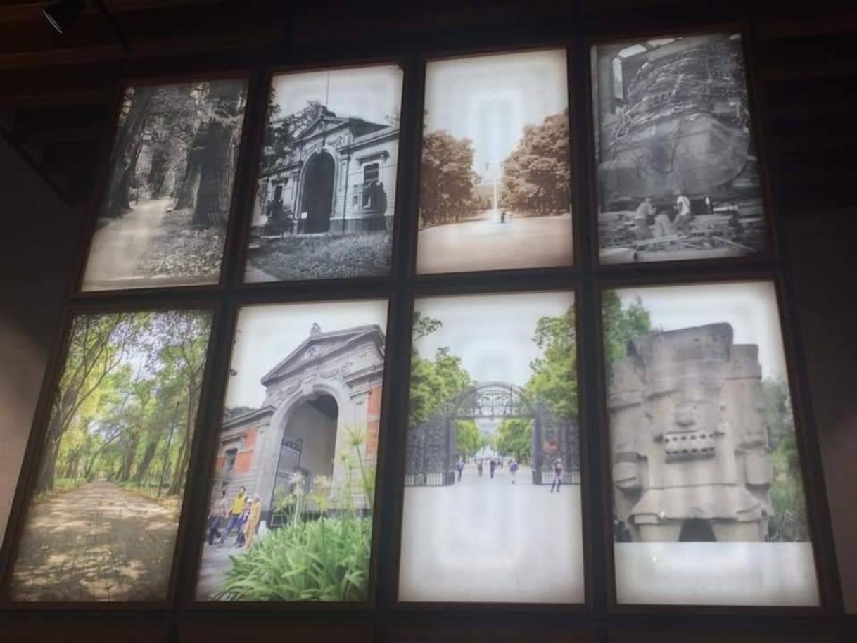 Place Museo de Sitio y Centro de Visitantes del Bosque de Chapultepec